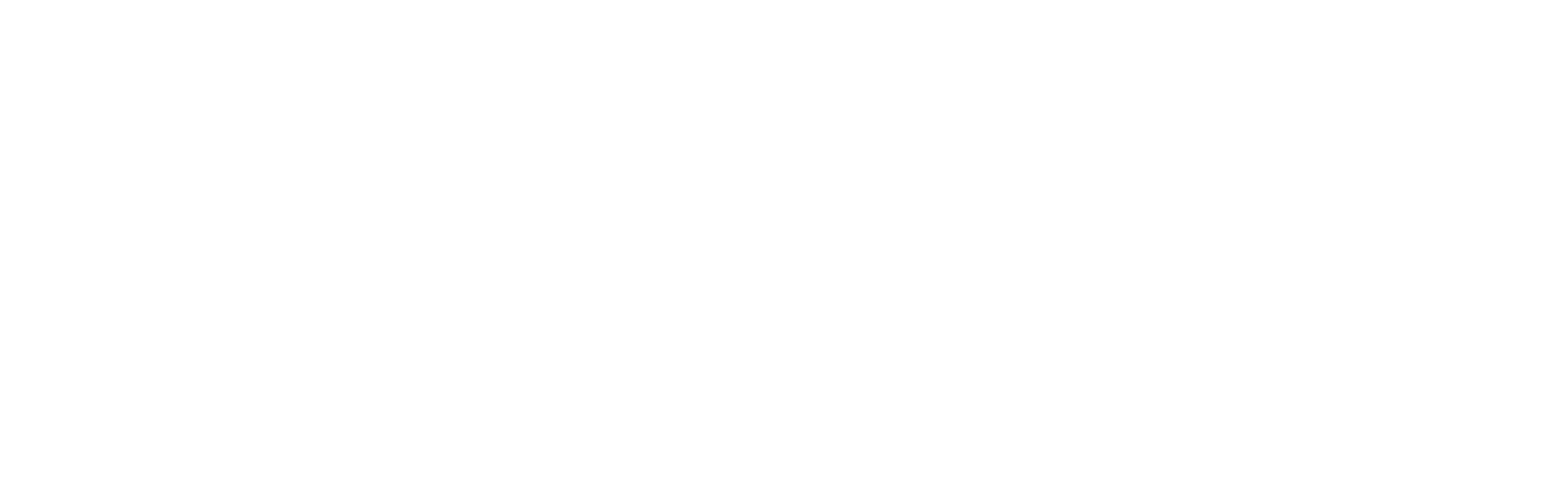 Smart Vision logo