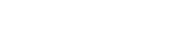 Smart Vision